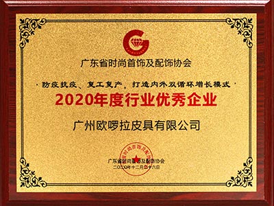 欧啰拉荣誉-2020年度行业优秀企业